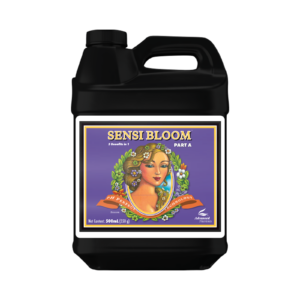 pH Perfect Sensi Bloom A_500mL_2023_1600x1600px.png