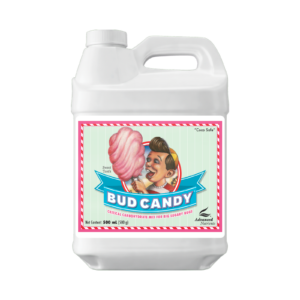 Bud Candy_500mL_2023_1600x1600px.png