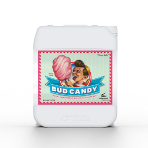 Bud Candy_5L_2023_1600x1600px.png