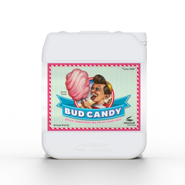 Bud Candy_5L_2023_1600x1600px.png